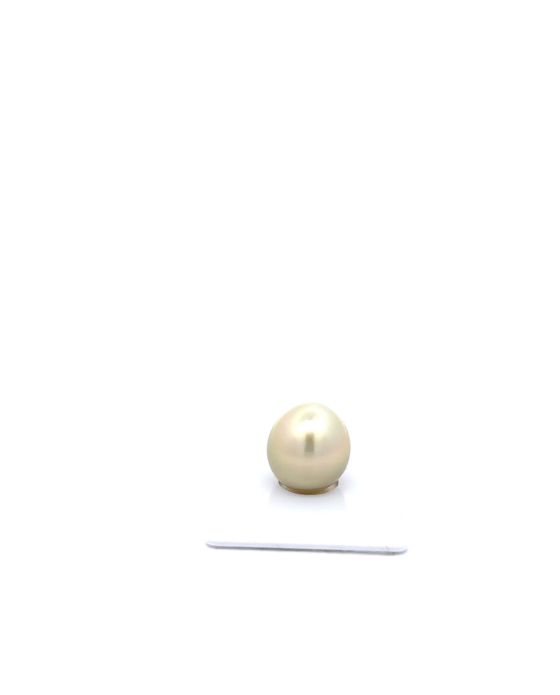 12mm+ gem  grade Tahitian Black pearl, French Polynesia  