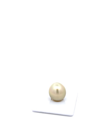 12mm+ gem  grade Tahitian Black pearl, French Polynesia  