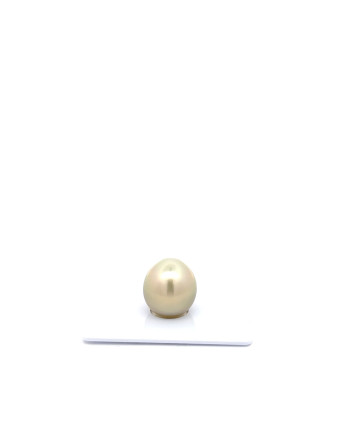 12mm+ gem  grade Tahitian Black pearl, French Polynesia  