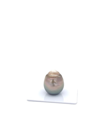 15mm+ jewel  grade Tahitian Black pearl, French Polynesia  