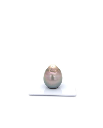 15mm+ jewel  grade Tahitian Black pearl, French Polynesia  