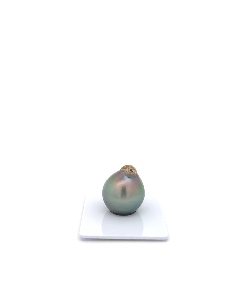 15mm+ jewel  grade Tahitian Black pearl, French Polynesia  