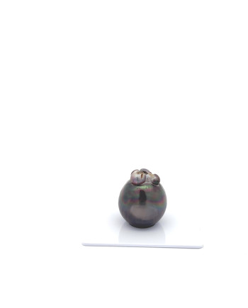 15mm+ jewel  grade Tahitian Black pearl, French Polynesia  