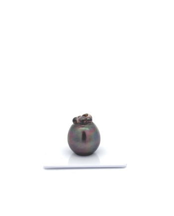 15mm+ jewel  grade Tahitian Black pearl, French Polynesia  
