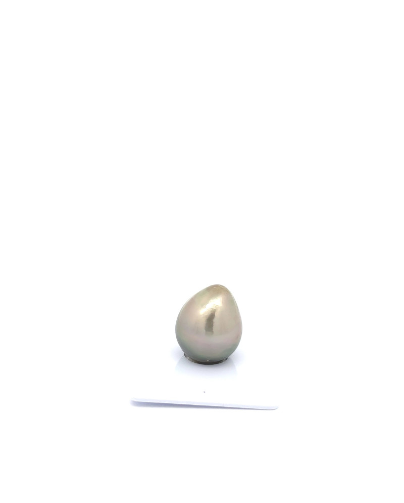 15mm+ fine  grade Tahitian Black pearl, French Polynesia  
