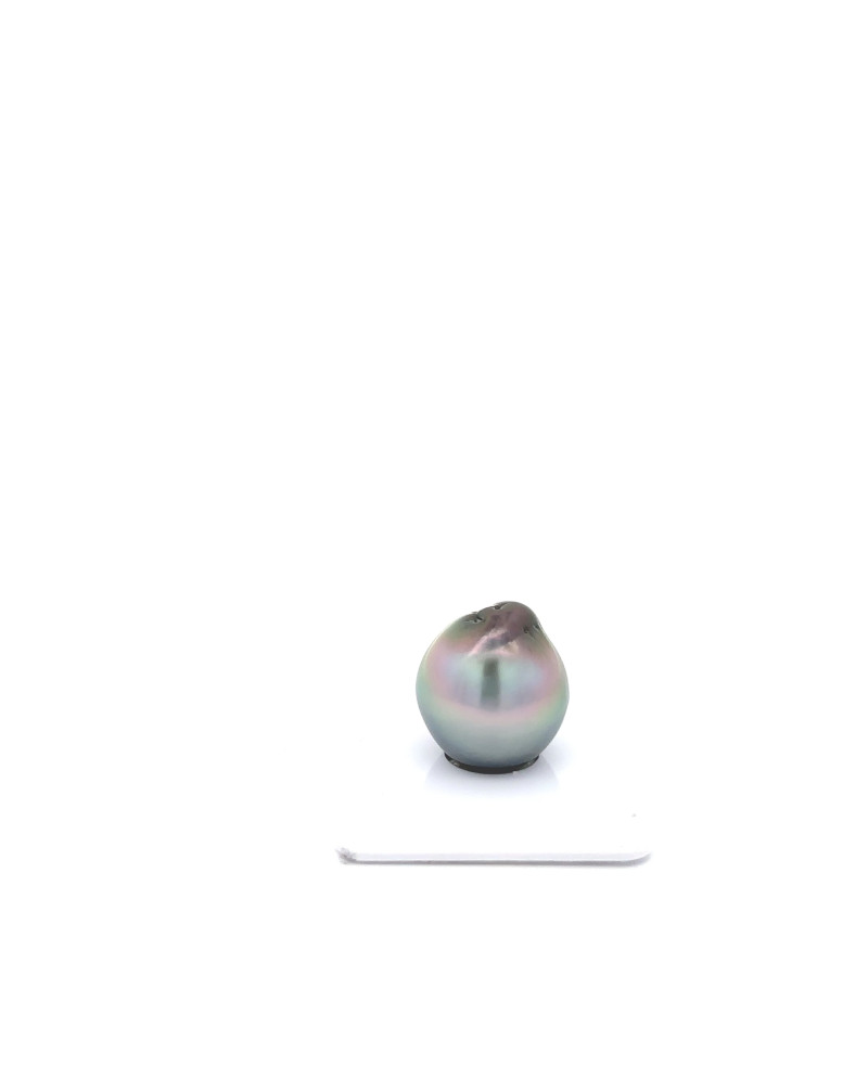 15mm+ jewel  grade Tahitian Black pearl, French Polynesia  