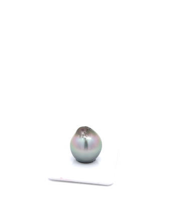 15mm+ jewel  grade Tahitian Black pearl, French Polynesia  