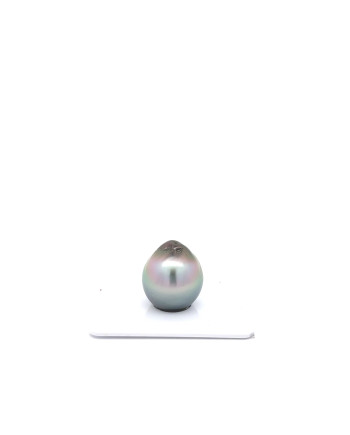 15mm+ jewel  grade Tahitian Black pearl, French Polynesia  