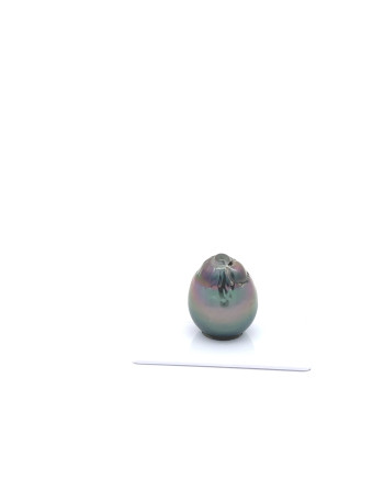 15mm+ jewel  grade Tahitian Black pearl, French Polynesia  