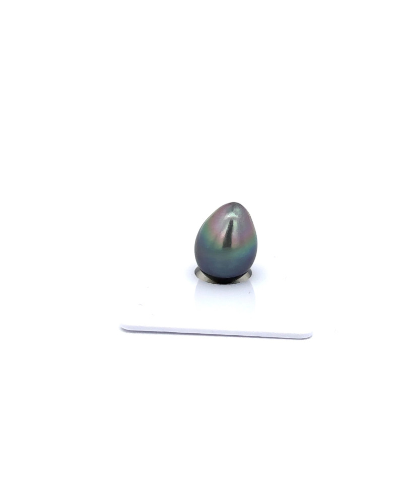 9mm+ gem  grade Tahitian Black Pearl, French Polynesia  