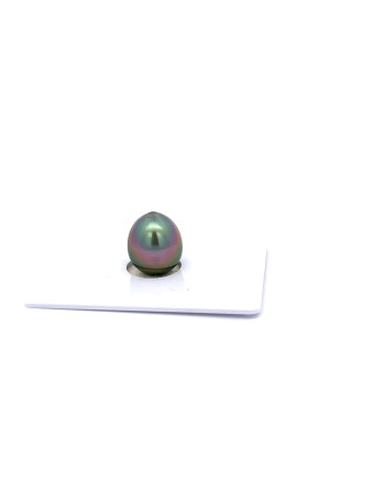 9mm+ gem  grade Tahitian Black Pearl, French Polynesia  