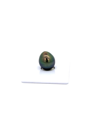 9mm+ gem  grade Tahitian Black Pearl, French Polynesia  