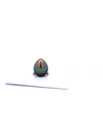 9mm+ gem  grade Tahitian Black Pearl, French Polynesia  