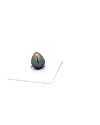 9mm+ gem  grade Tahitian Black Pearl, French Polynesia  
