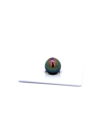 9mm+ gem  grade Tahitian Black Pearl, French Polynesia  