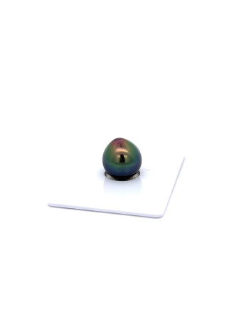 9mm+ gem  grade Tahitian Black Pearl, French Polynesia  
