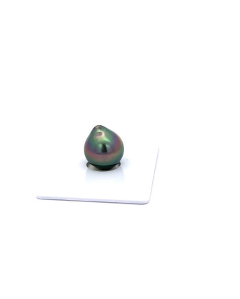 9mm+ gem  grade Tahitian Black Pearl, French Polynesia  