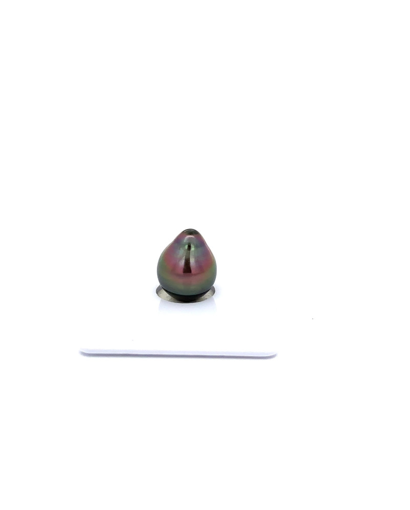 9mm+ fine  grade Tahitian Black Pearl, French Polynesia  