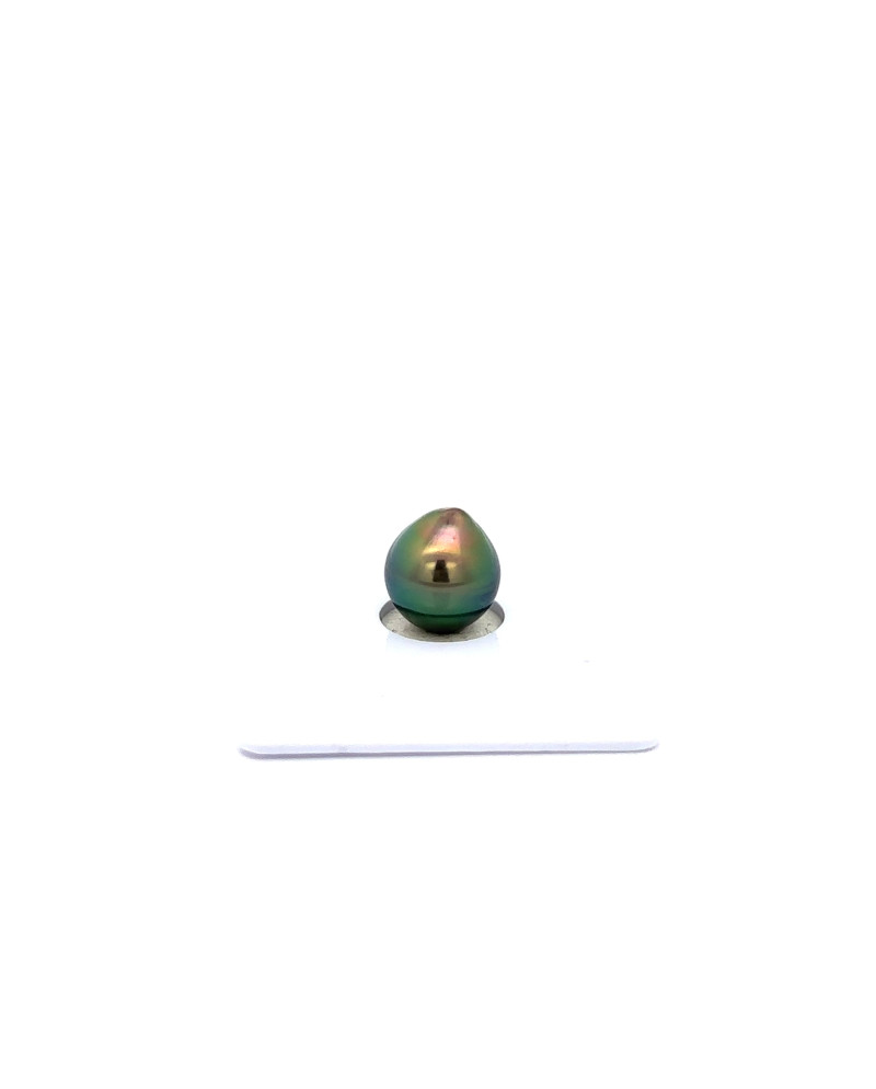 9mm+ fine  grade Tahitian Black Pearl, French Polynesia  