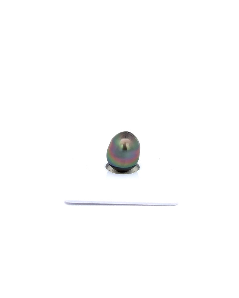 9mm+ fine  grade Tahitian Black Pearl, French Polynesia  