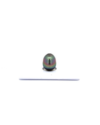 9mm+ fine  grade Tahitian Black Pearl, French Polynesia  