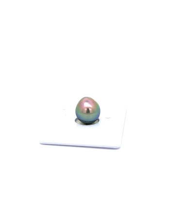 9mm+ jewel  grade Tahitian Black Pearl, French Polynesia  