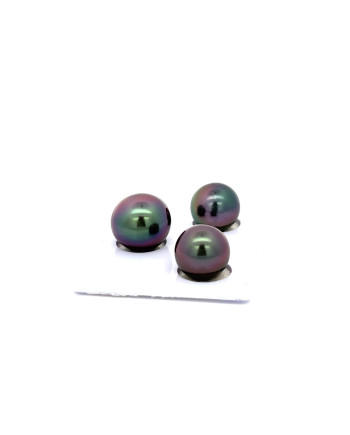 9mm+ jewel  grade Tahitian Black Pearl, French Polynesia  