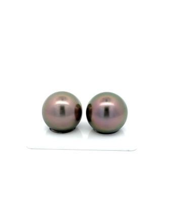 15mm+ gem  grade Tahitian Black Pearl, French Polynesia  