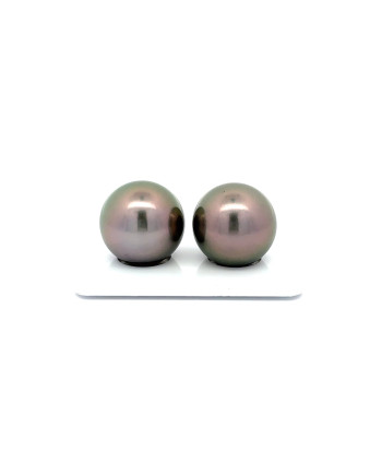 15mm+ gem  grade Tahitian Black Pearl, French Polynesia  