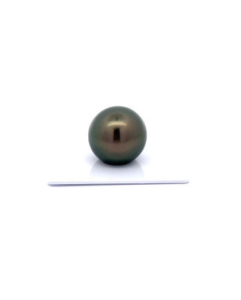 15mm+ gem  grade Tahitian Black Pearl, French Polynesia  