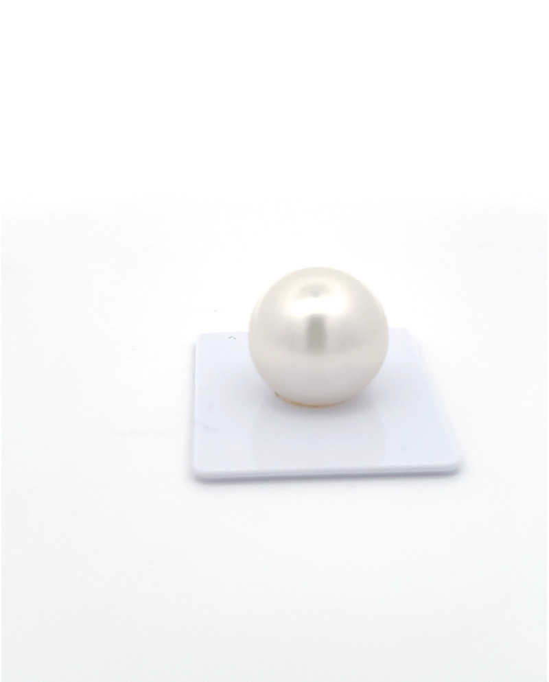 15mm+ gem  grade South Sea Pearl, Australia