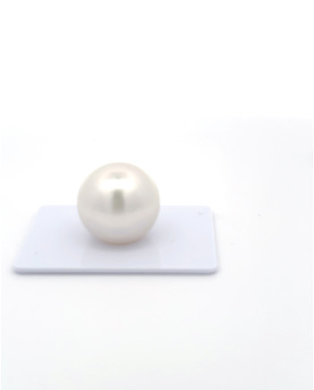 15mm+ gem  grade South Sea Pearl, Australia