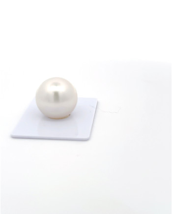 15mm+ gem  grade South Sea Pearl, Australia