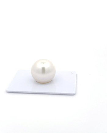 15mm+ gem  grade South Sea Pearl, Australia