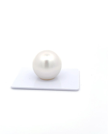 15mm+ gem  grade South Sea Pearl, Australia