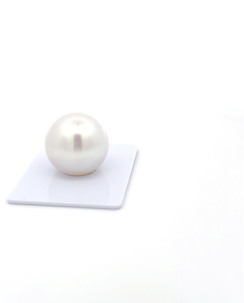 15mm+ gem  grade South Sea Pearl, Australia