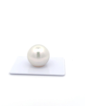 15mm+ gem  grade South Sea Pearl, Australia