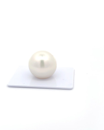 15mm+ gem  grade South Sea Pearl, Australia