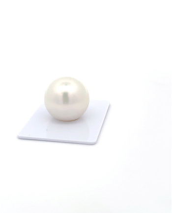 15mm+ gem  grade South Sea Pearl, Australia