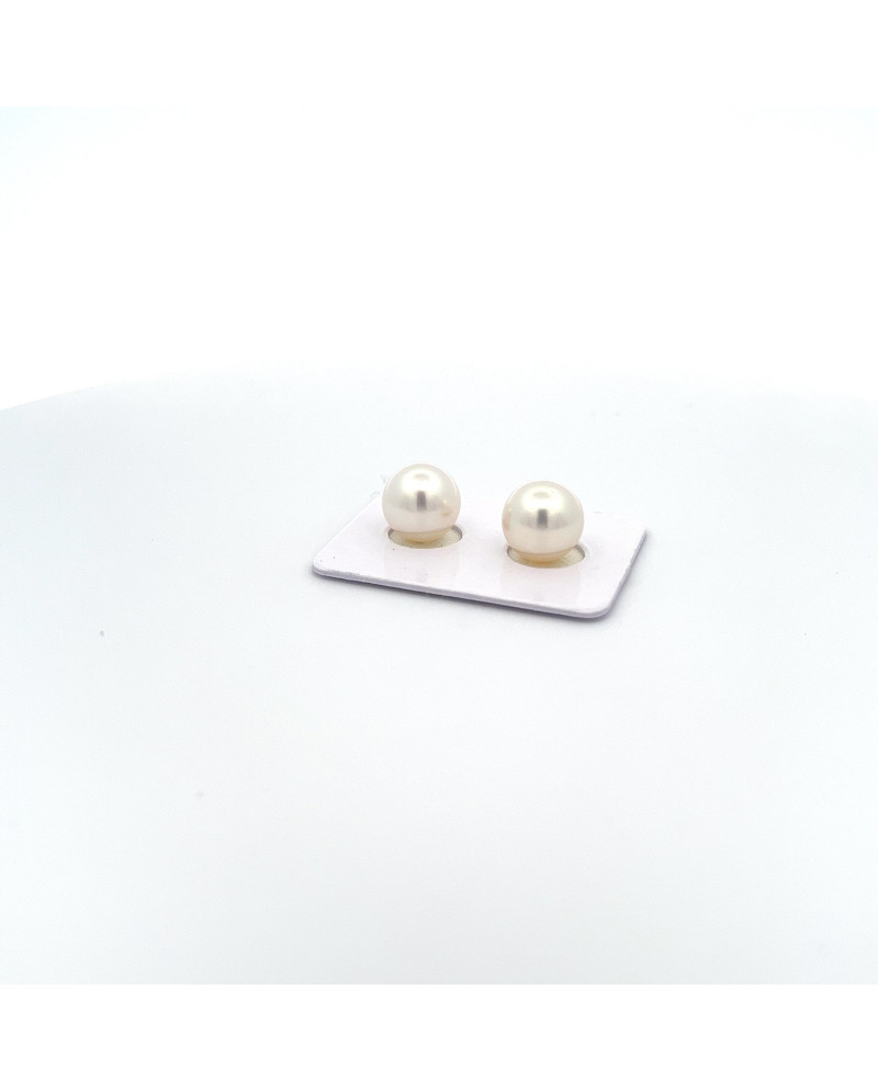 9mm+ gem  grade South Sea pearl, Indonesia