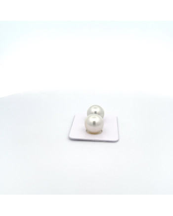 9mm+ gem  grade South Sea pearl, Indonesia