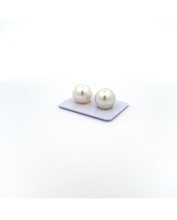 12mm+ gem  grade South Sea pearl, Australia