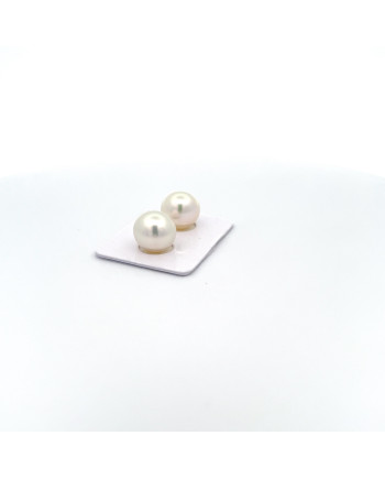 12mm+ gem  grade South Sea pearl, Australia