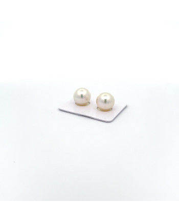12mm+ gem  grade South Sea pearl, Australia