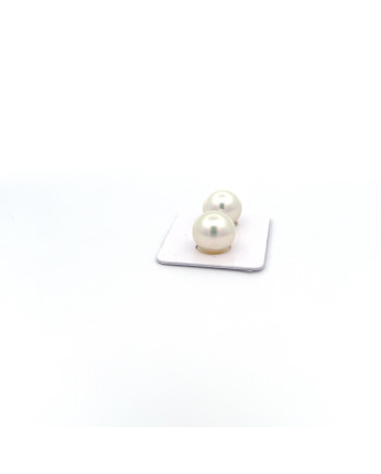 12mm+ gem  grade South Sea pearl, Australia