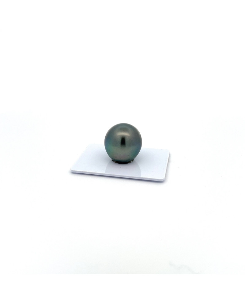 17mm+ gem  grade Tahitian Black pearl, French Polynesia  