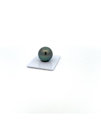 17mm+ gem  grade Tahitian Black pearl, French Polynesia  