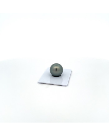 12mm+ fine  grade Tahitian Black pearl, French Polynesia  