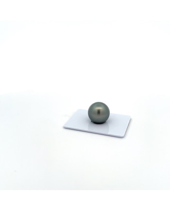12mm+ fine  grade Tahitian Black pearl, French Polynesia  