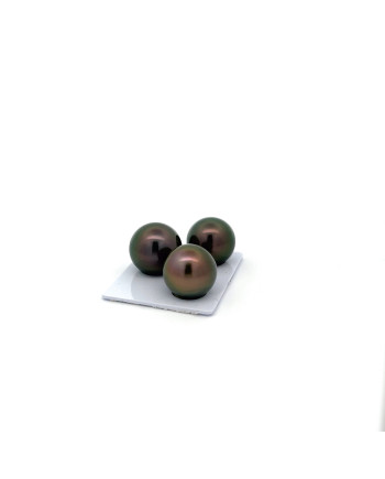 15mm+ gem  grade Tahitian Black pearl, French Polynesia  